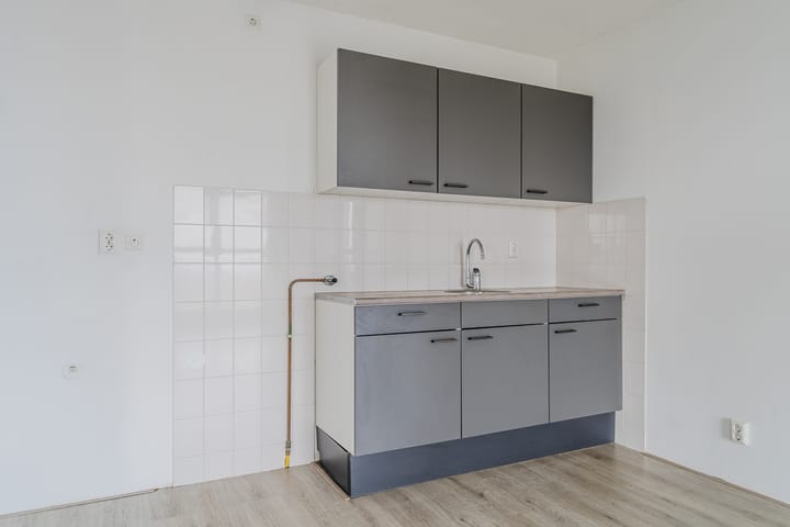 Foto 9 van Zijdevlinder 62