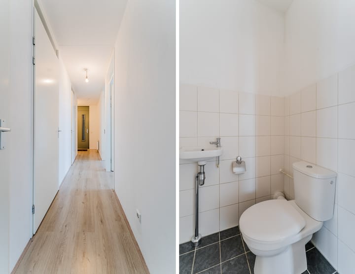 Foto 10 van Zijdevlinder 62