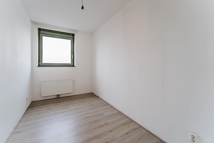 Foto 11 van Zijdevlinder 62