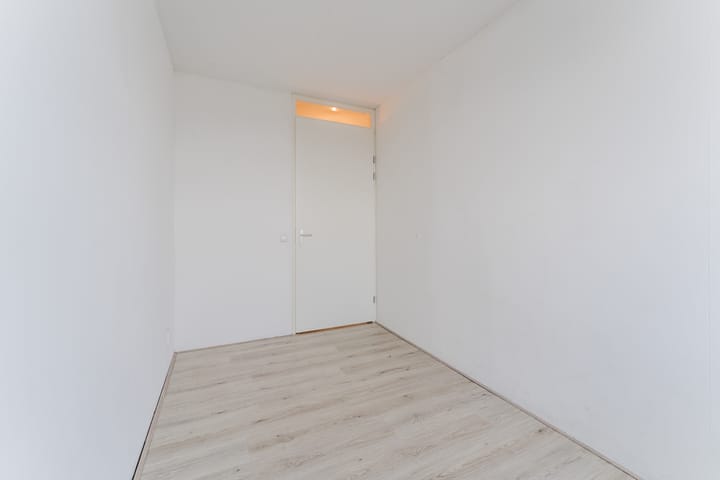 Foto 12 van Zijdevlinder 62