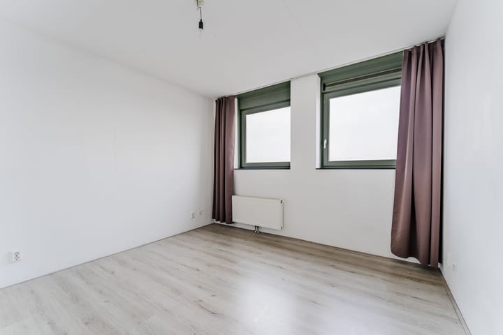 Foto 13 van Zijdevlinder 62