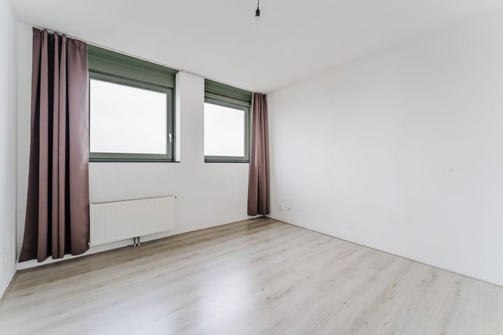 Foto 14 van Zijdevlinder 62