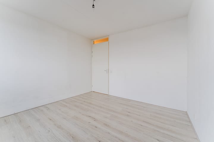 Foto 15 van Zijdevlinder 62