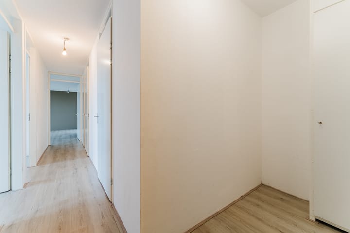 Foto 17 van Zijdevlinder 62