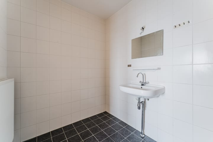 Foto 18 van Zijdevlinder 62