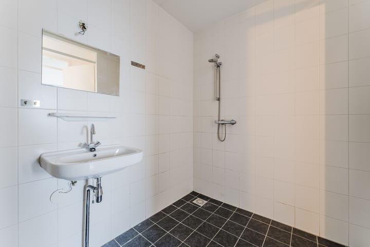 Foto 19 van Zijdevlinder 62