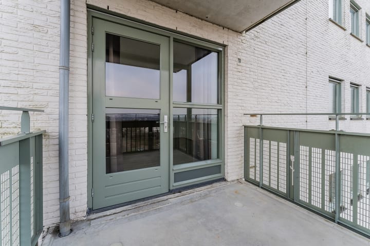 Foto 20 van Zijdevlinder 62