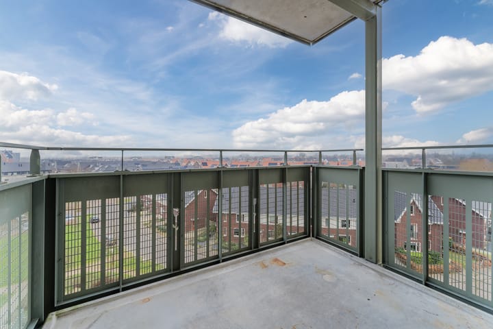 Foto 21 van Zijdevlinder 62