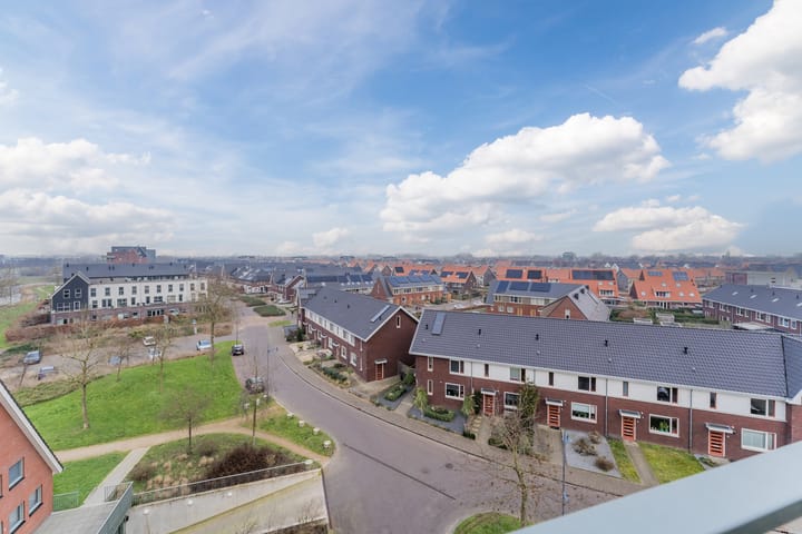 Foto 22 van Zijdevlinder 62