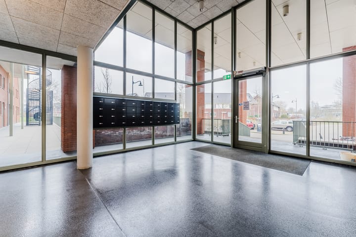 Foto 24 van Zijdevlinder 62