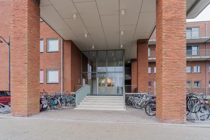 Foto 25 van Zijdevlinder 62