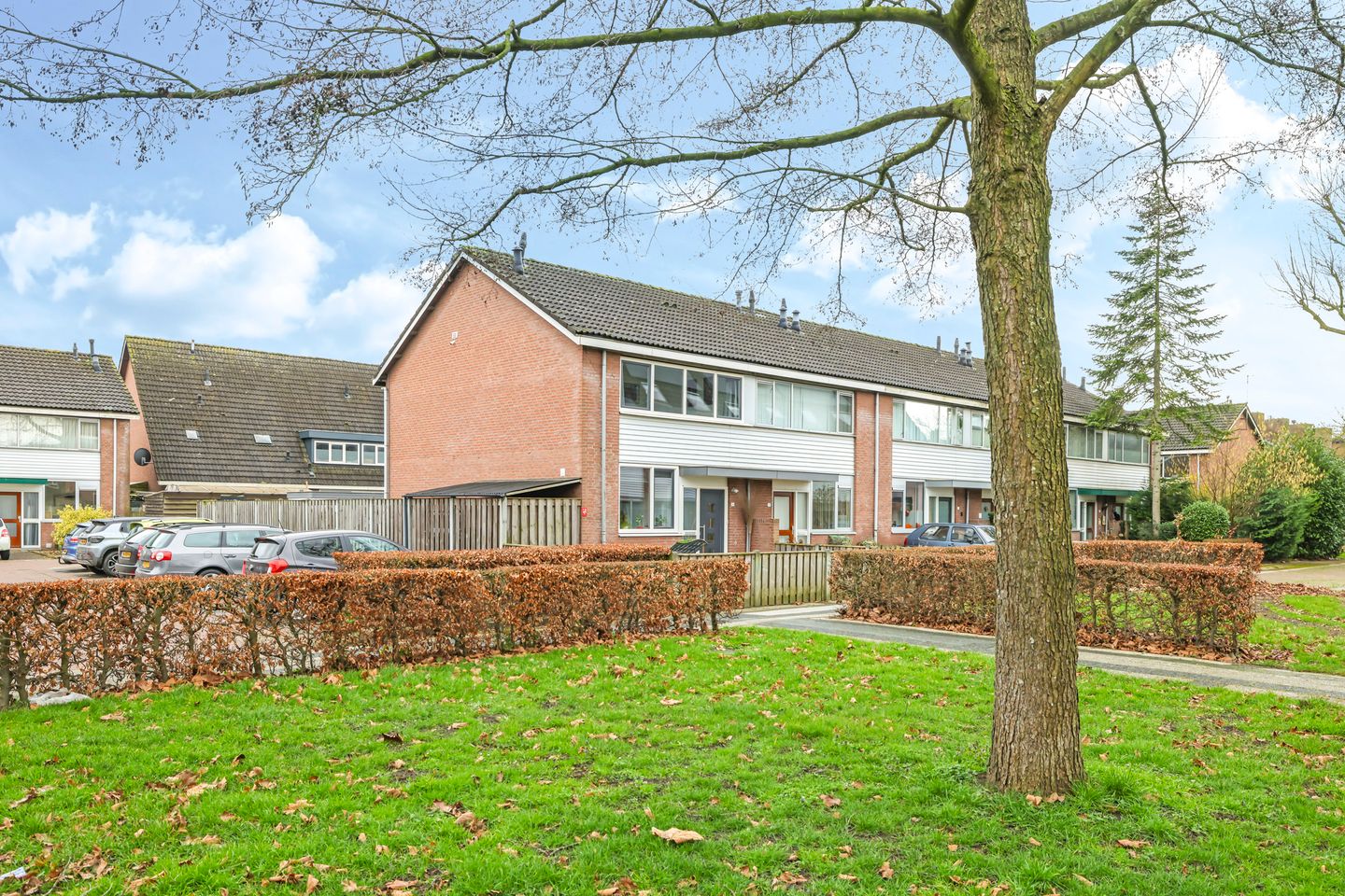 Oldenhof 100 main image