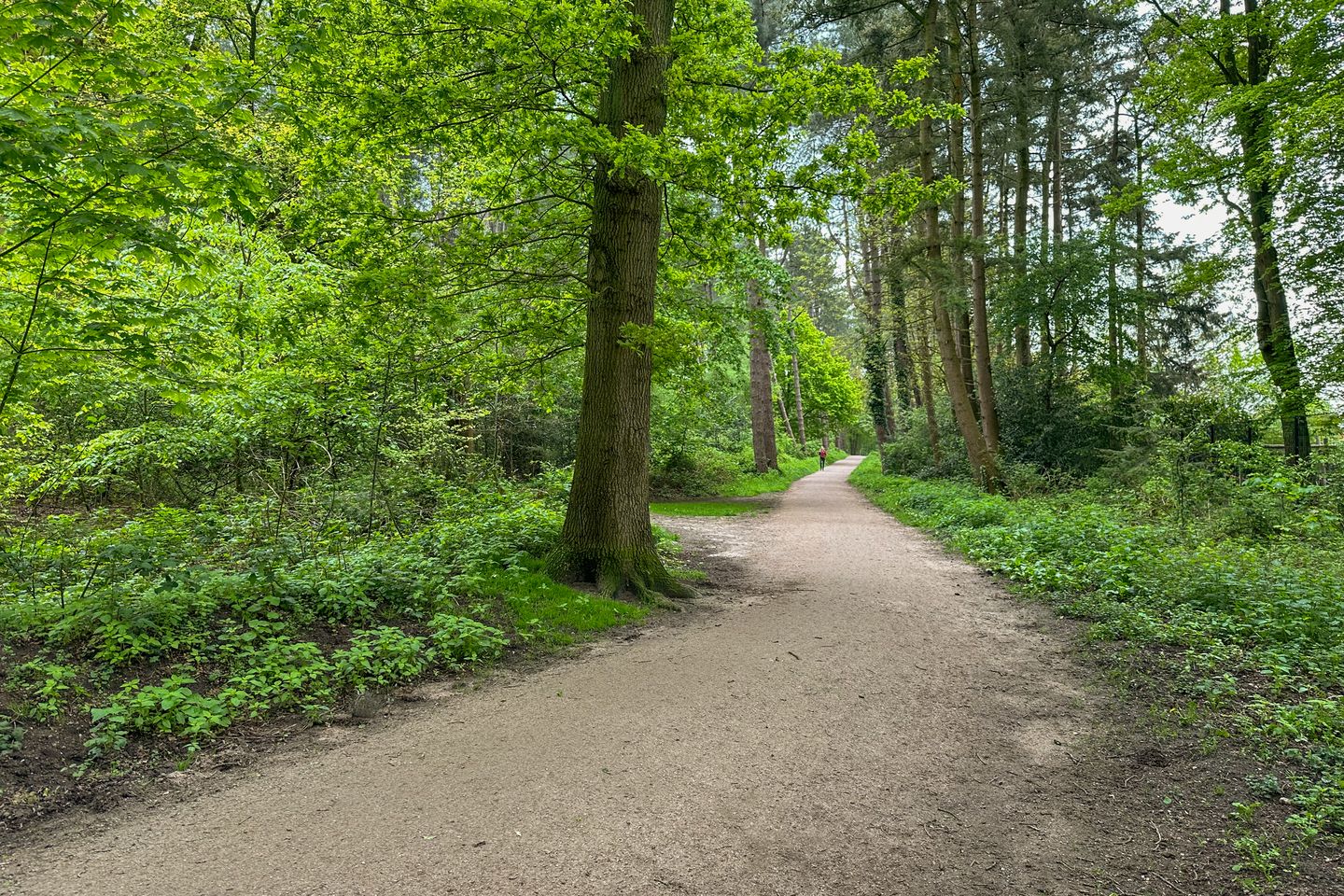 Foto 35 van Banckertlaan 199