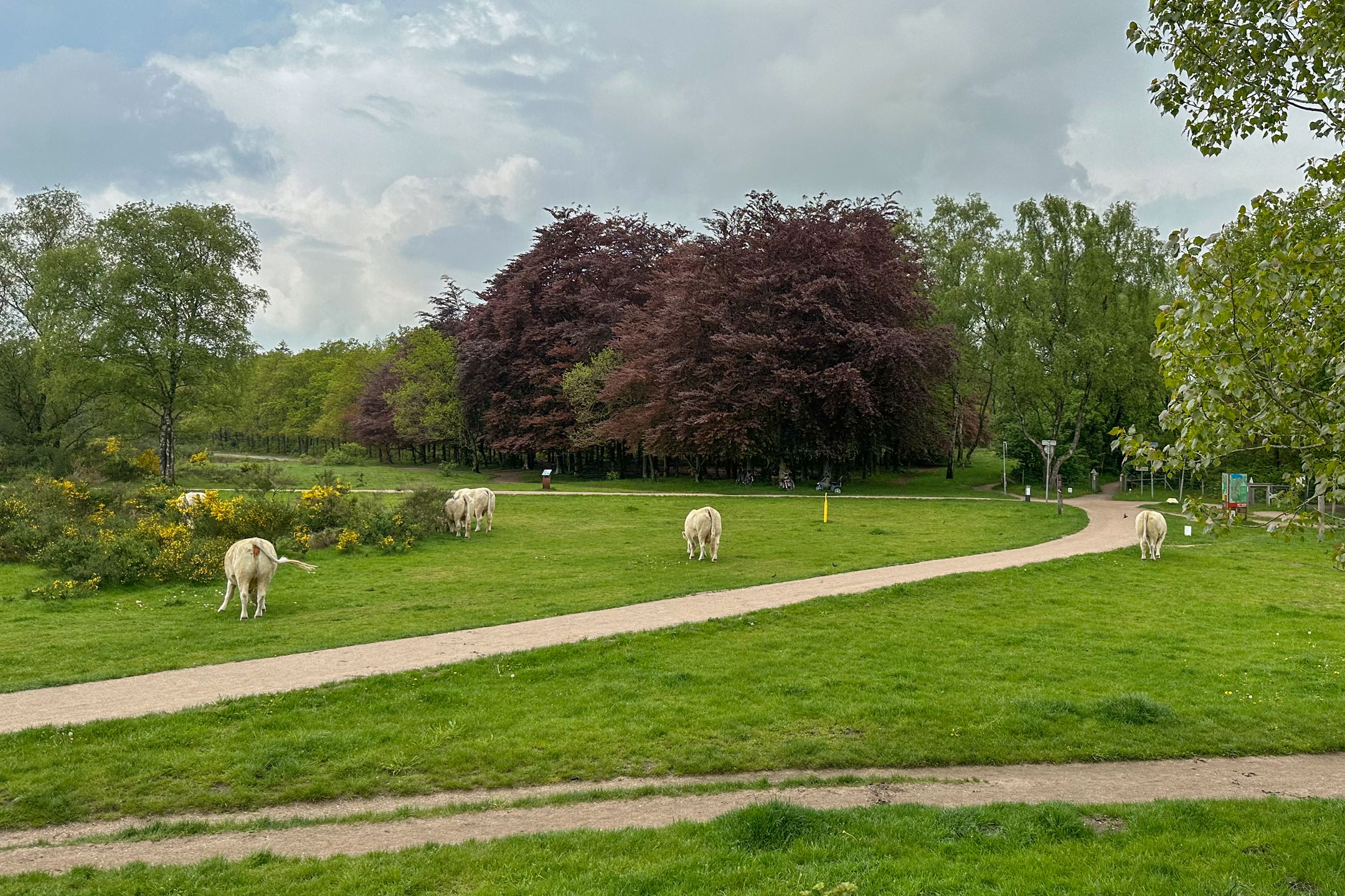 Foto 36 van Banckertlaan 199