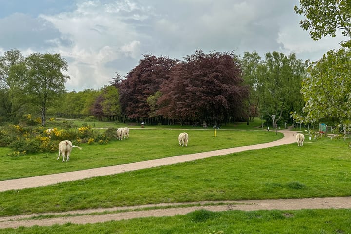 Foto 36 van Banckertlaan 199