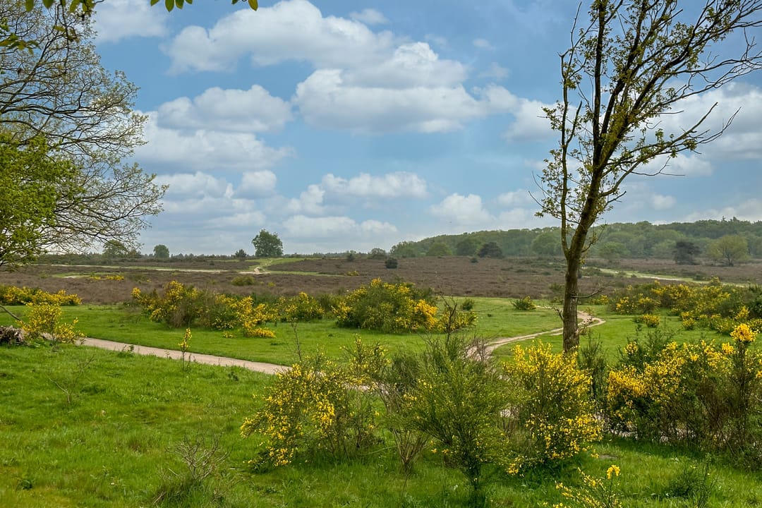 Foto 37 van Banckertlaan 199