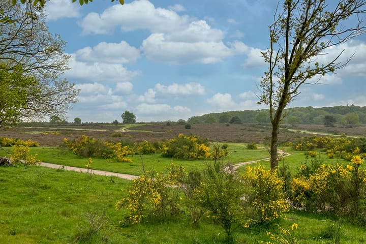 Foto 37 van Banckertlaan 199