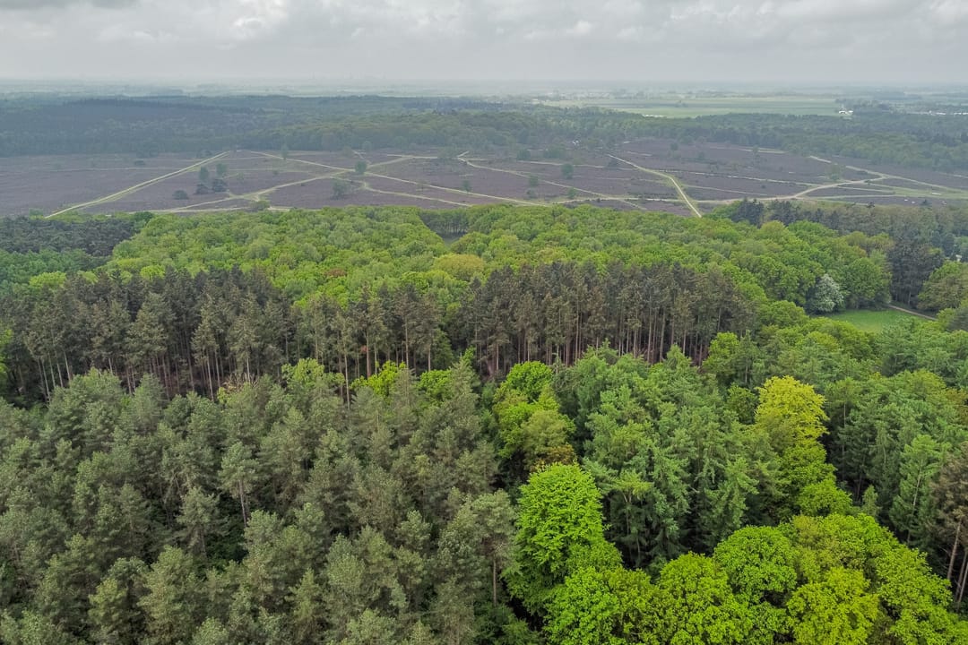 Foto 38 van Banckertlaan 199