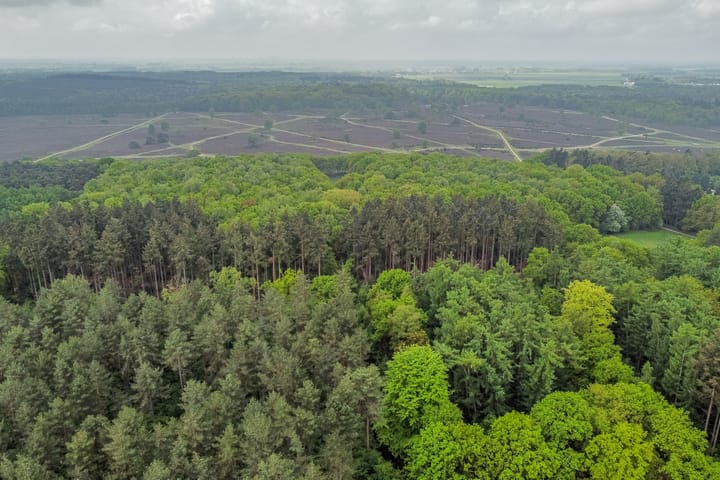 Foto 38 van Banckertlaan 199