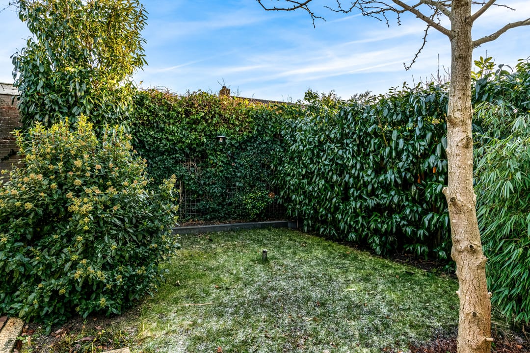 Foto 31 van Cromhoutstraat 36