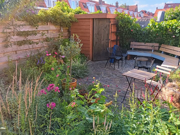 Foto 22 van Van Ostadestraat 2