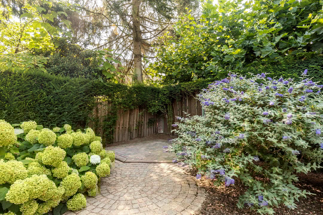 Foto 47 van Golstraat 9