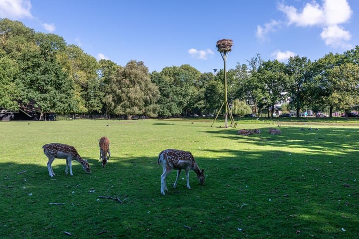 Photo 56 of Kagerstraat 30