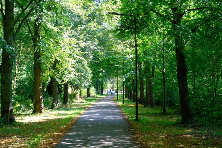 Photo 60 of Kagerstraat 30