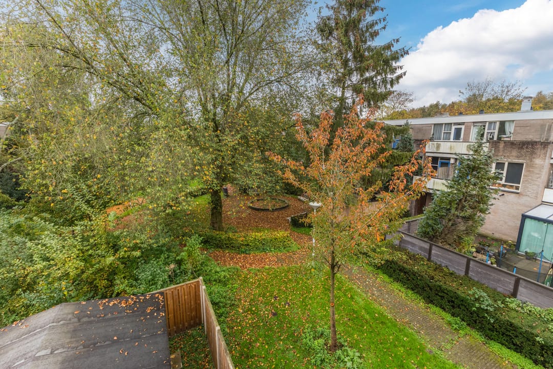 Photo 26 of Wamelstraat 116