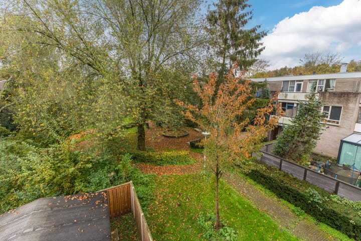 Foto 26 van Wamelstraat 116