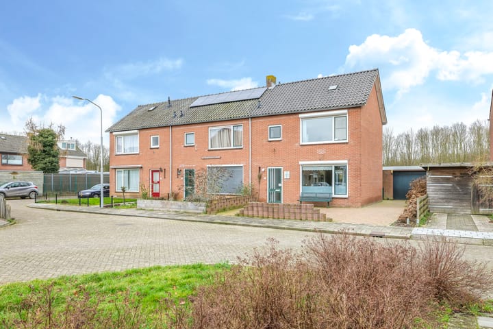 undefined main image