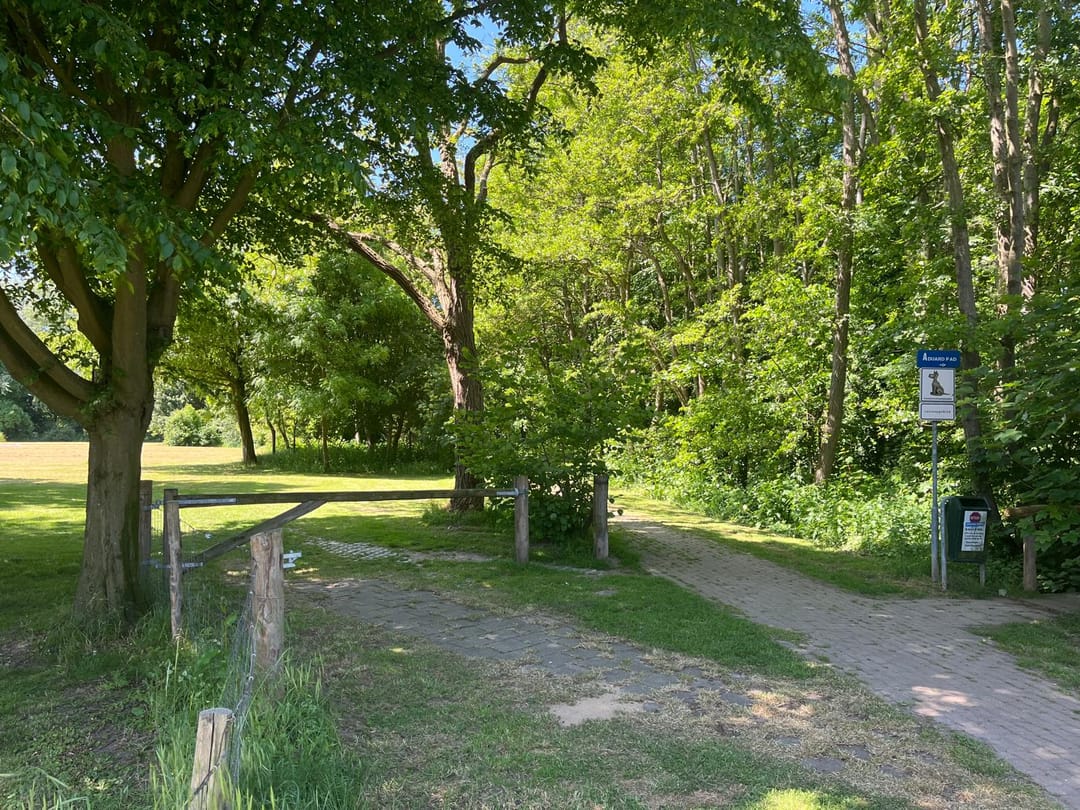 Foto 68 van Dr. A.R. Holstraat 38