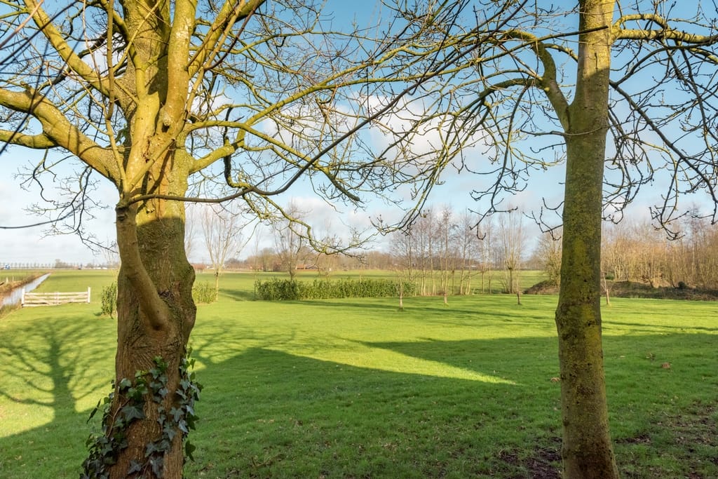 Foto 11 van Jousterweg 109