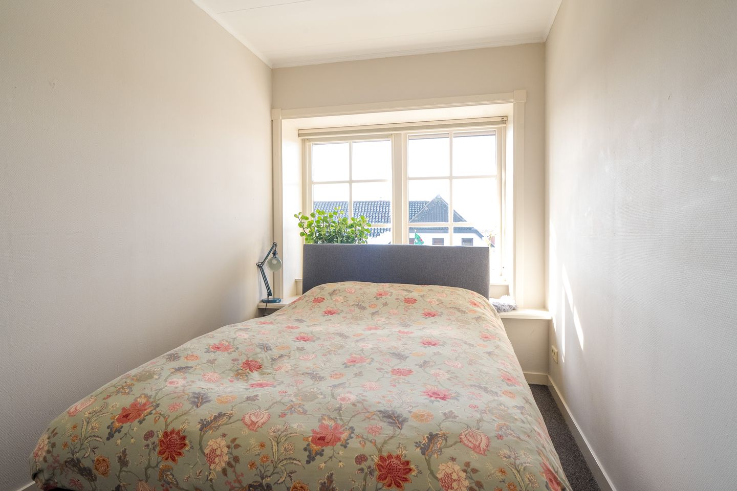 Foto 40 van J.P. Santeeweg 10