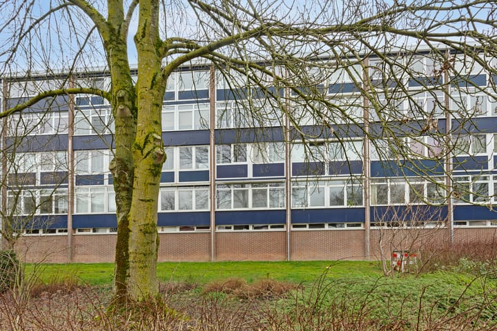 Foto 37 van De Houtmanstraat 81