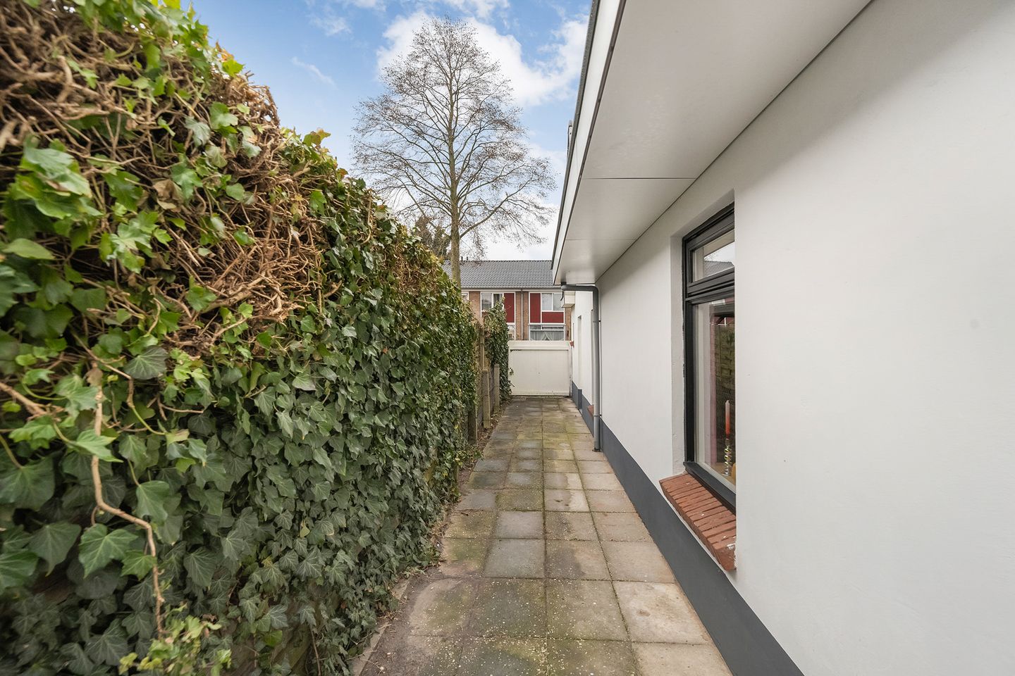 Photo 44 of Nachtegaalstraat 16