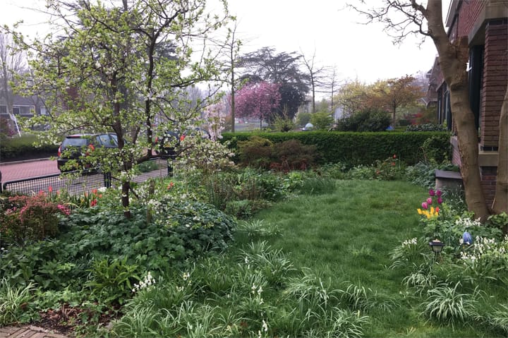 Foto 51 van Huis te Hoornkade 15