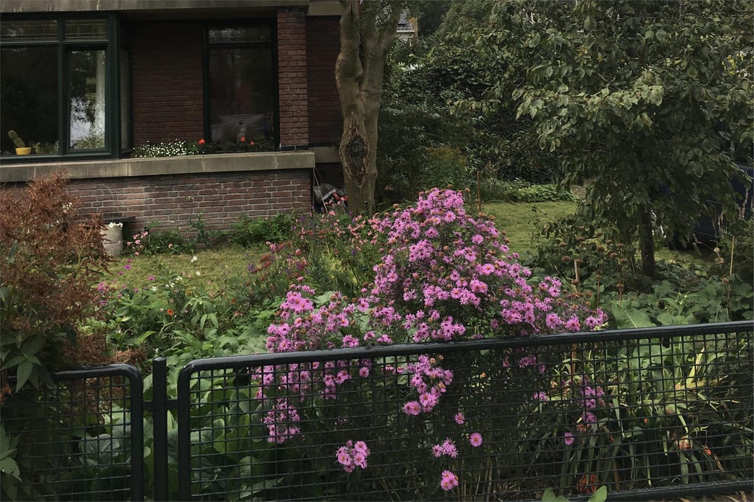 Foto 53 van Huis te Hoornkade 15