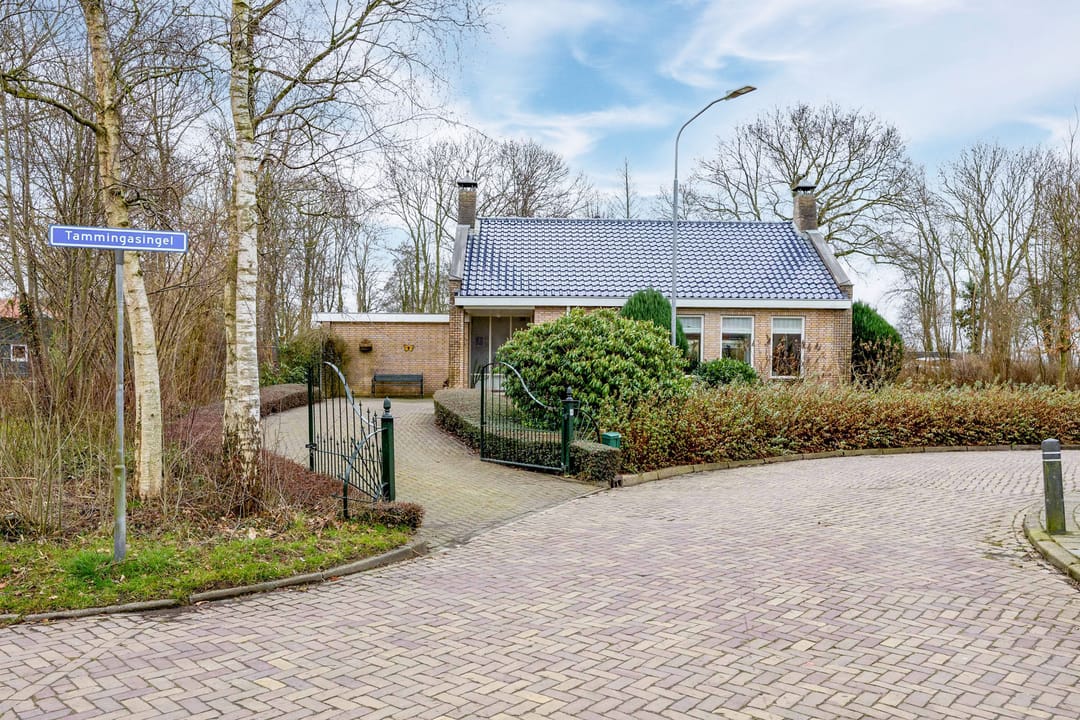 Foto 7 van Tammingasingel 10