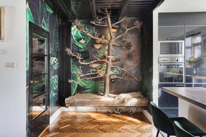 Foto 19 van Van Spaenstraat 71