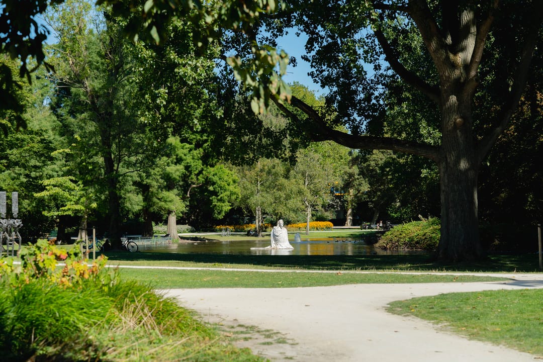 Foto 22 van Van Bossestraat 58-1