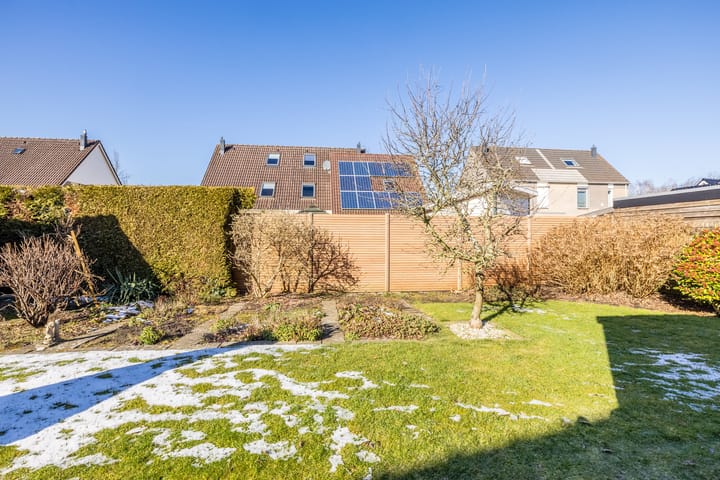 Foto 50 van Boerhoorn 5