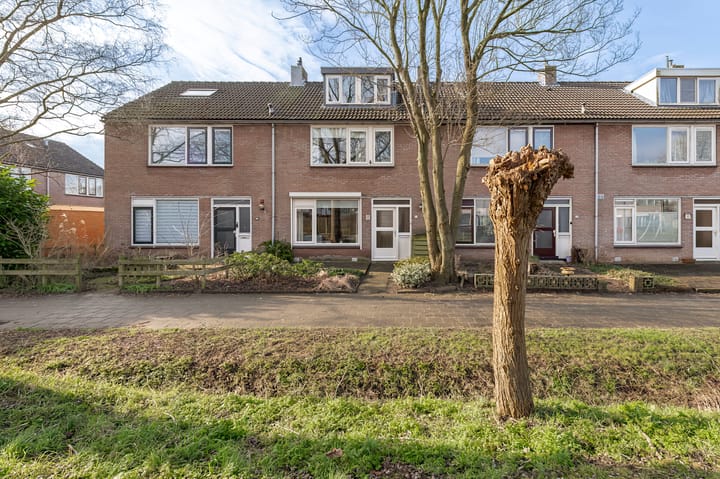 Foto 1 van Korenbloem 44