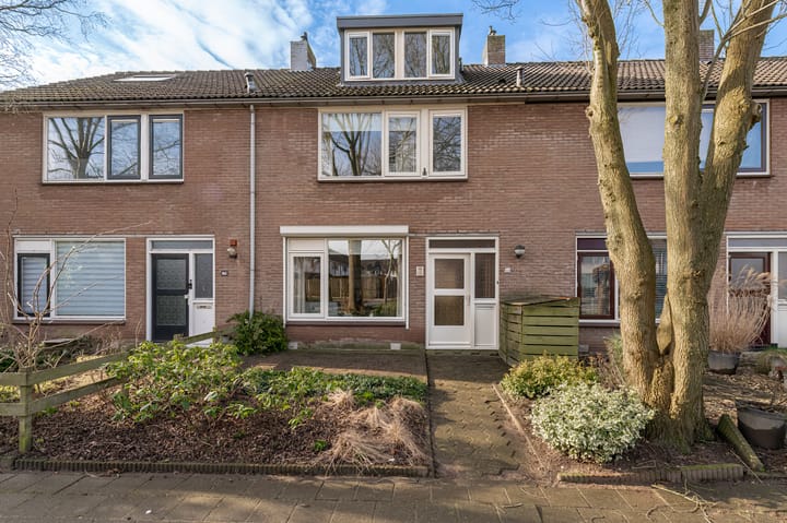 Foto 2 van Korenbloem 44