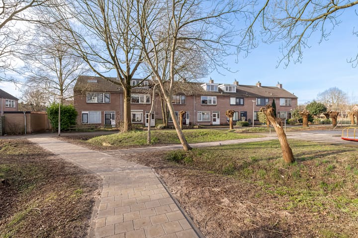 Foto 3 van Korenbloem 44