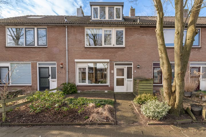 Foto 40 van Korenbloem 44