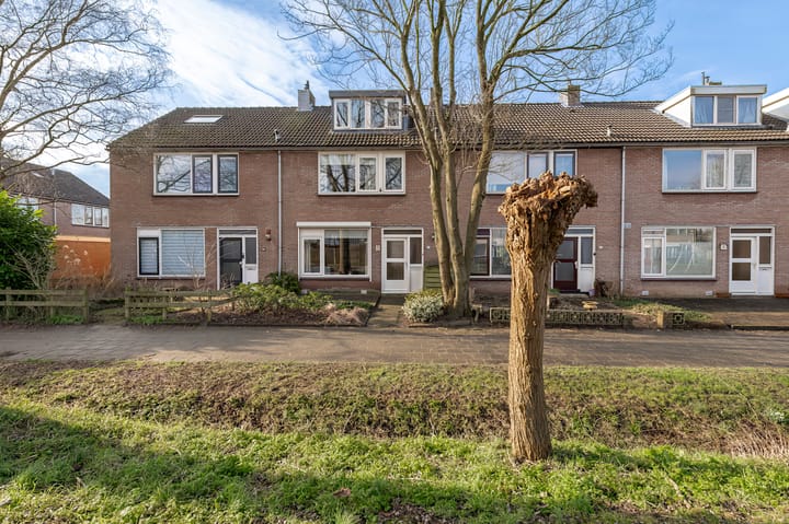 Foto 41 van Korenbloem 44