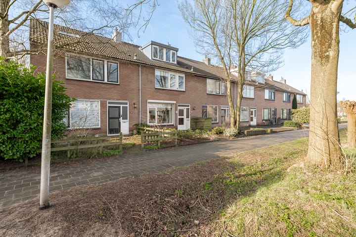 Foto 42 van Korenbloem 44