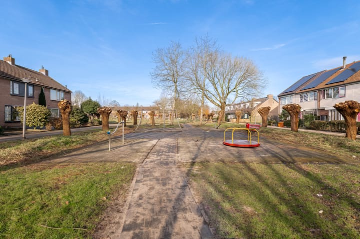 Foto 43 van Korenbloem 44