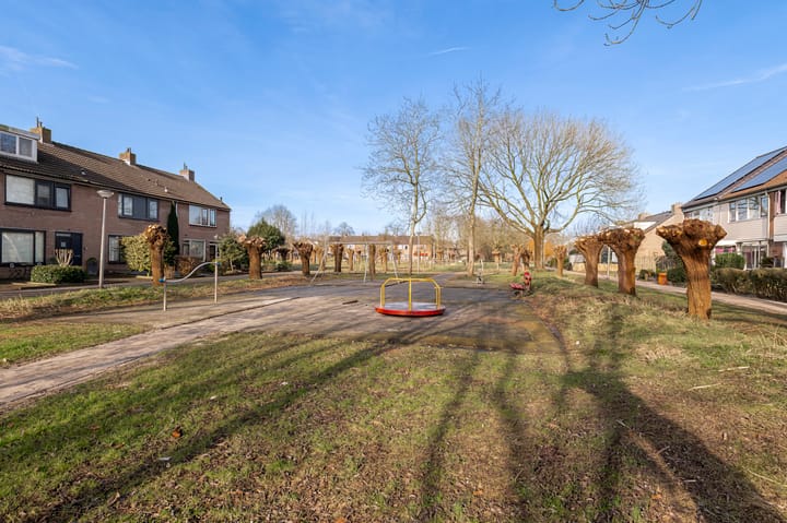 Foto 45 van Korenbloem 44